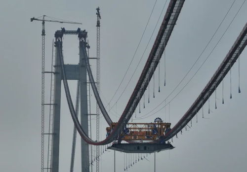 明年通车 仙新路长江大桥最新进展来了
